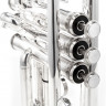 Труба Bach TR-305SBP Bb