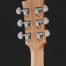 Maton EBW70C электроакустическая гитара