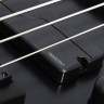 SCHECTER SLS ELITE-5 EVIL TWIN 5-струнная бас-гитара