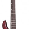 SCHECTER STILETTO CUSTOM-5 VRS 5-струнная бас-гитара