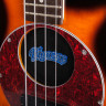 PIGNOSE PGB-200 BS бас-гитара