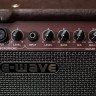 E-WAVE AE-30 комбик для акустической гитары 30 Вт