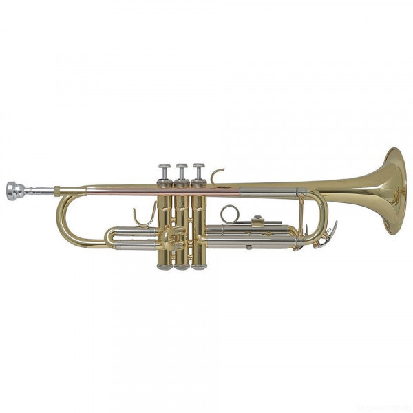 Труба Bach TR-655 Bb