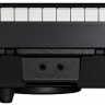 Цифровое фортепиано EMILY PIANO D-20 BK