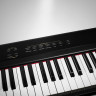 Artesia Performer Black пианино цифровые