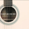 Flight AD-200C WH акустическая гитара