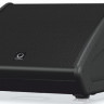 Сценический монитор Turbosound TFM122M пассивный, коаксиальный