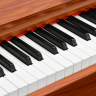 Цифровое фортепиано EMILY PIANO D-52 BR