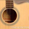 Flight AD-200 CEQ NA электроакустическая гитара