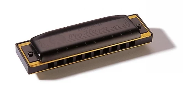 Губная гармошка диатоническая HOHNER M564086 Pro Harp MS G, 10 отверстий, тональность сОЛЬ