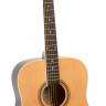 ROCKDALE AURORA 120-N гитара с анкером