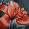 Картина по номерам с цв. схемой на холсте 30х40 ОРАНЖЕВАЯ ЛИЛИЯ (16 цветов)