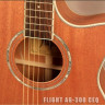 Flight AG-300 CEQ NS электроакустическая гитара