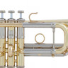 Труба Bach AC190 C