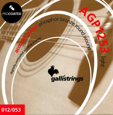 Комплект струн для акустической гитары 12-53 GALLI STRINGS AGP1253
