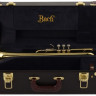 Труба Bach C180SL229CC C