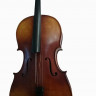 HANS KLEIN HKC-10S/HG 1/2 виолончель + чехол и смычок