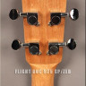 FLIGHT DUC 525 SP/ZEB укулеле-концерт с чехлом