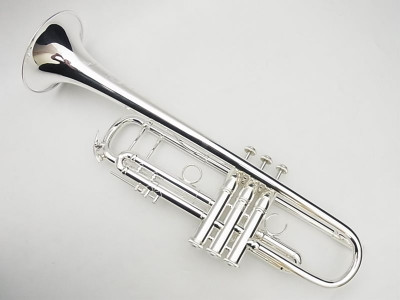 Труба Bb BACH AB190 CUSTOM AB190SG Stradivarius "Artisan" 2 комплекта направляющих для помп + кейс
