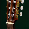Sigma CR-6 4/4 классическая гитара
