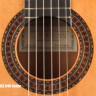 PEREZ 640 Cedar 4/4 классическая гитара