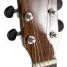 BATON ROUGE AR20S/ACE-LTD электроакустическая гитара