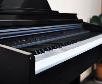 Artesia DP-150E Black цифровое пианино