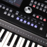 Синтезатор MEDELI A1000 61 клавиша, полифония 64