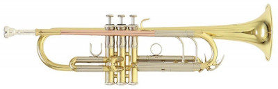 Труба Roy Benson TR-402 Bb золото
