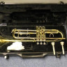 Труба Roy Benson TR-402 Bb золото