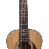 Aria ADF-01 3/4 N акустическая гитара