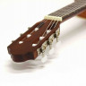 GEWA Pro Arte GC 242 II 4/4 классическая гитара