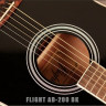Flight AD-200 BK+ акустическая гитара