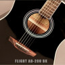 Flight AD-200 BK+ акустическая гитара