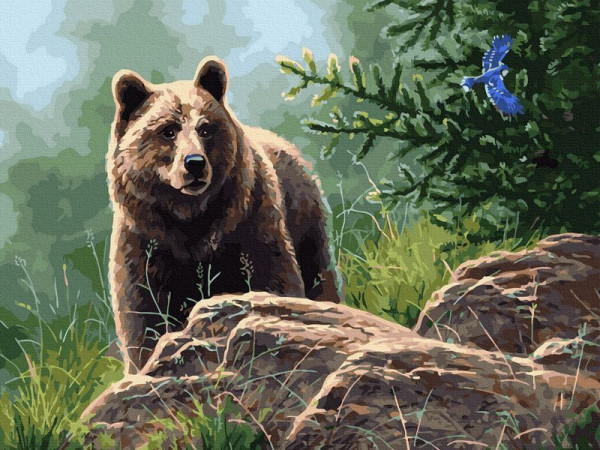 Картина по номерам с цветной схемой 40х50 СИБИРСКИЙ БУРЫЙ МЕДВЕДЬ (30 цветов)