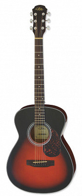 Aria ADF-01 BS акустическая гитара