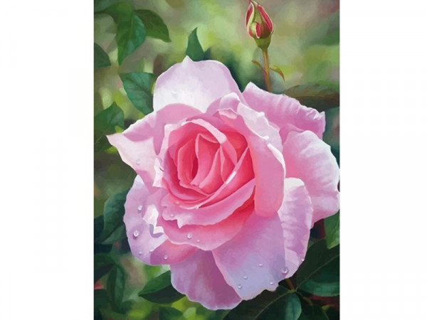 Алмазная мозаика 15х20 ЦВЕТОК РОЗЫ (11 цветов)