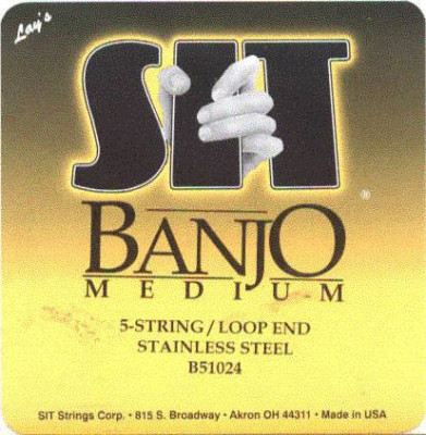 Струны для банджо SIT B51024 Medium Loop-end (10-13-15-24w-10) 5 шт. среднего натяжения