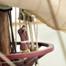 Сборная деревянная модель корабля Artesania Latina SAN FRANCISCO II NEW, 1/90