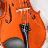 ANTONIO LAVAZZA VL-28 L скрипка 1/2 полный комплект