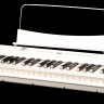 Artesia A-61 White цифровое пианино