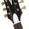 EPIPHONE PRO-1 PLUS Acoustic Ebony акустическая гитара