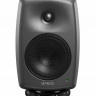Монитор ближнего поля Genelec 8030CP активный 2-полосный