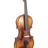  PRIMA P-300 1/2 Скрипка в комплекте