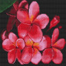 Картина мозаикой 30х30 ЦВЕТОК ЛАОСА (квадрат) (15 цветов)