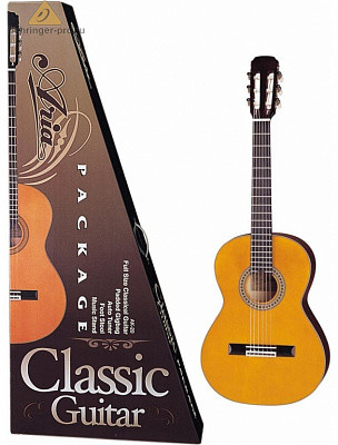 Aria CGPN-002 N 4/4 классическая гитара в наборе