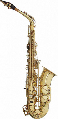 Stagg WS-AS215S - Альт саксофон с мягким кейсом в комплекте,строй Eb