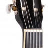 Aria FIESTA FST-200-58 3/4 классическая гитара