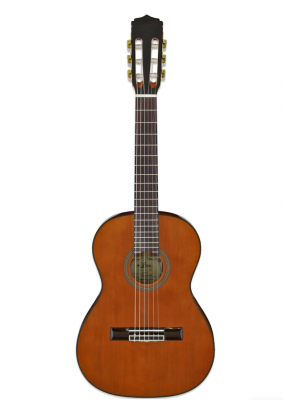 ARIA A-20-53 Классическая гитара 1/2