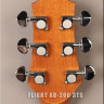 Flight AD-200 3TS акустическая гитара